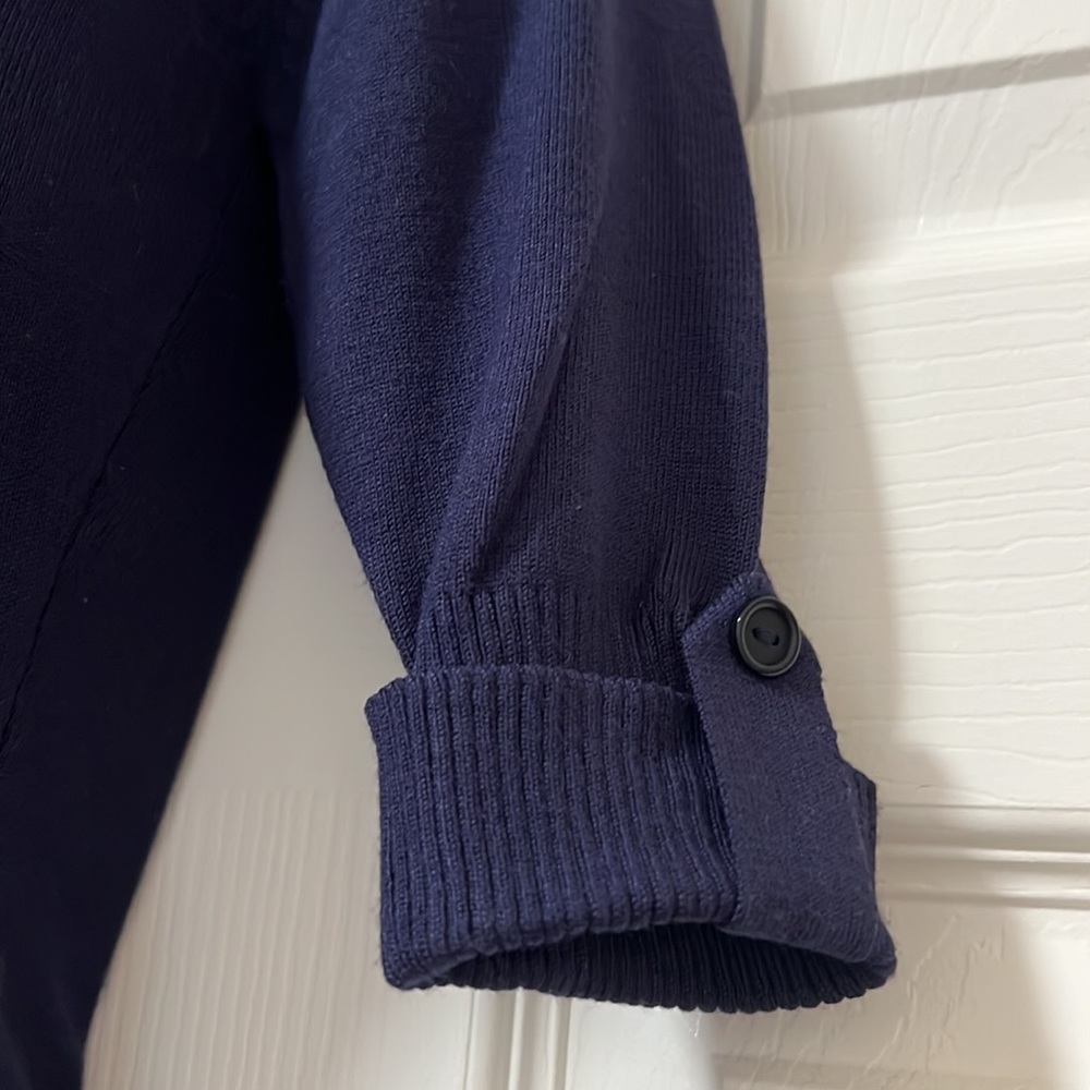 Planet Gold Turtle Neck Sweater Dress (EUC) - Picture 3 of 5